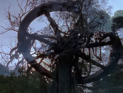 extant_XenaWarriorPrincess_1x12-BewareGreeksBearingGifts_0470