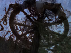 extant_XenaWarriorPrincess_1x12-BewareGreeksBearingGifts_0475