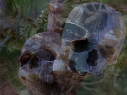 extant_XenaWarriorPrincess_1x12-BewareGreeksBearingGifts_0480