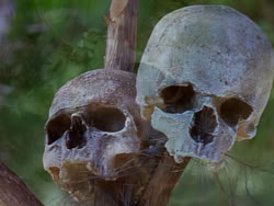 extant_XenaWarriorPrincess_1x12-BewareGreeksBearingGifts_0481
