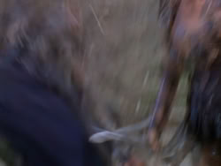 extant_XenaWarriorPrincess_1x12-BewareGreeksBearingGifts_0559