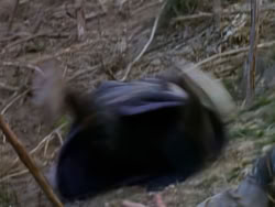 extant_XenaWarriorPrincess_1x12-BewareGreeksBearingGifts_0560