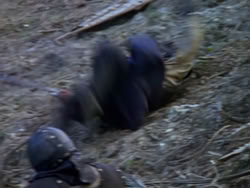 extant_XenaWarriorPrincess_1x12-BewareGreeksBearingGifts_0563