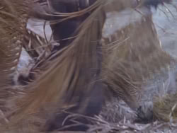 extant_XenaWarriorPrincess_1x12-BewareGreeksBearingGifts_0566