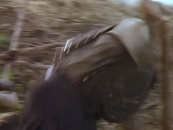 extant_XenaWarriorPrincess_1x12-BewareGreeksBearingGifts_0574