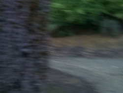 extant_XenaWarriorPrincess_1x12-BewareGreeksBearingGifts_0592