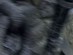 extant_XenaWarriorPrincess_1x12-BewareGreeksBearingGifts_0636