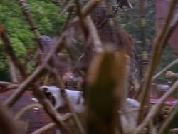 extant_XenaWarriorPrincess_1x12-BewareGreeksBearingGifts_0768