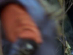 extant_XenaWarriorPrincess_1x12-BewareGreeksBearingGifts_0891