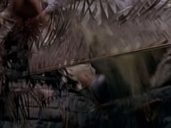 extant_XenaWarriorPrincess_1x12-BewareGreeksBearingGifts_1432