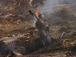 extant_XenaWarriorPrincess_1x12-BewareGreeksBearingGifts_1472