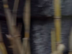 extant_XenaWarriorPrincess_1x12-BewareGreeksBearingGifts_1637