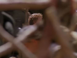 extant_XenaWarriorPrincess_1x12-BewareGreeksBearingGifts_1720