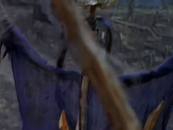 extant_XenaWarriorPrincess_1x12-BewareGreeksBearingGifts_1780