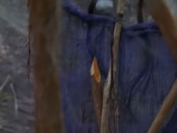 extant_XenaWarriorPrincess_1x12-BewareGreeksBearingGifts_1781