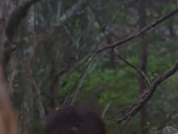 extant_XenaWarriorPrincess_1x12-BewareGreeksBearingGifts_1853