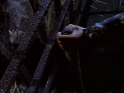 extant_XenaWarriorPrincess_1x12-BewareGreeksBearingGifts_2192