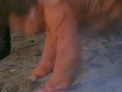 extant_XenaWarriorPrincess_1x12-BewareGreeksBearingGifts_2443