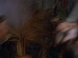 extant_XenaWarriorPrincess_1x12-BewareGreeksBearingGifts_2512