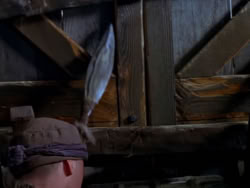 extant_XenaWarriorPrincess_1x12-BewareGreeksBearingGifts_2742