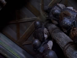 extant_XenaWarriorPrincess_1x12-BewareGreeksBearingGifts_2939