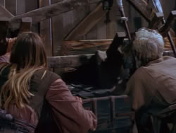 extant_XenaWarriorPrincess_1x12-BewareGreeksBearingGifts_2947