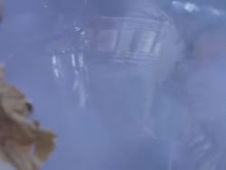 extant_XenaWarriorPrincess_1x12-BewareGreeksBearingGifts_3164