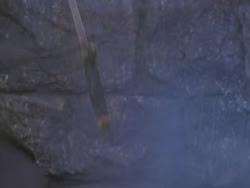 extant_XenaWarriorPrincess_1x12-BewareGreeksBearingGifts_3257