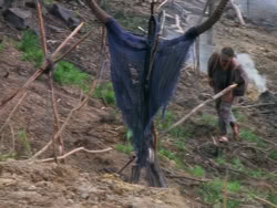 extant_XenaWarriorPrincess_1x12-BewareGreeksBearingGifts_3515