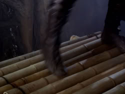 extant_XenaWarriorPrincess_1x13-AthensCityAcademyOfThePerformingBards_0633