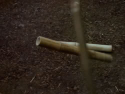 extant_XenaWarriorPrincess_1x13-AthensCityAcademyOfThePerformingBards_0638