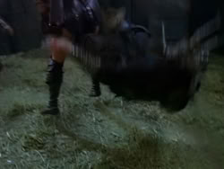 extant_XenaWarriorPrincess_1x13-AthensCityAcademyOfThePerformingBards_2089