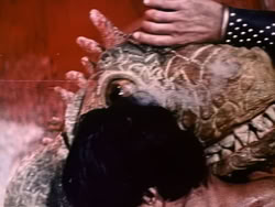 extant_XenaWarriorPrincess_1x13-AthensCityAcademyOfThePerformingBards_2717