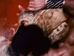 extant_XenaWarriorPrincess_1x13-AthensCityAcademyOfThePerformingBards_2719