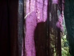 extant_XenaWarriorPrincess_1x13-AthensCityAcademyOfThePerformingBards_2741
