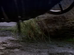 extant_XenaWarriorPrincess_1x13-AthensCityAcademyOfThePerformingBards_3038