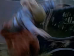 extant_XenaWarriorPrincess_1x13-AthensCityAcademyOfThePerformingBards_3040
