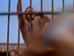 extant_XenaWarriorPrincess_1x13-AthensCityAcademyOfThePerformingBards_3207