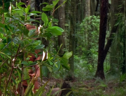 extant_XenaWarriorPrincess_1x14-AFistfulofDinars_00056