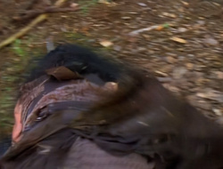 extant_XenaWarriorPrincess_1x14-AFistfulofDinars_00059