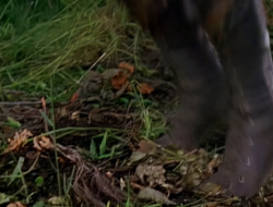 extant_XenaWarriorPrincess_1x14-AFistfulofDinars_00098