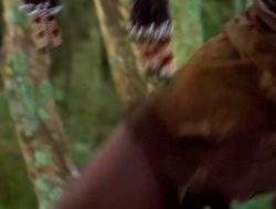 extant_XenaWarriorPrincess_1x14-AFistfulofDinars_00126