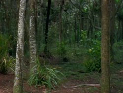 extant_XenaWarriorPrincess_1x14-AFistfulofDinars_00262