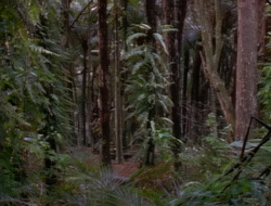 extant_XenaWarriorPrincess_1x14-AFistfulofDinars_00670