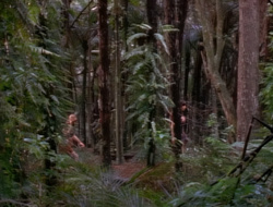 extant_XenaWarriorPrincess_1x14-AFistfulofDinars_00671