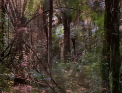 extant_XenaWarriorPrincess_1x14-AFistfulofDinars_00686