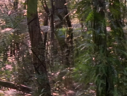 extant_XenaWarriorPrincess_1x14-AFistfulofDinars_00687