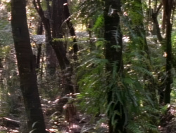 extant_XenaWarriorPrincess_1x14-AFistfulofDinars_00688