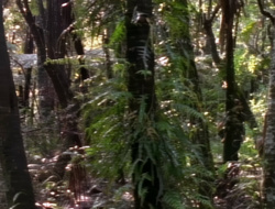 extant_XenaWarriorPrincess_1x14-AFistfulofDinars_00689