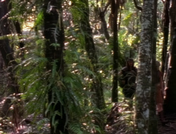 extant_XenaWarriorPrincess_1x14-AFistfulofDinars_00691